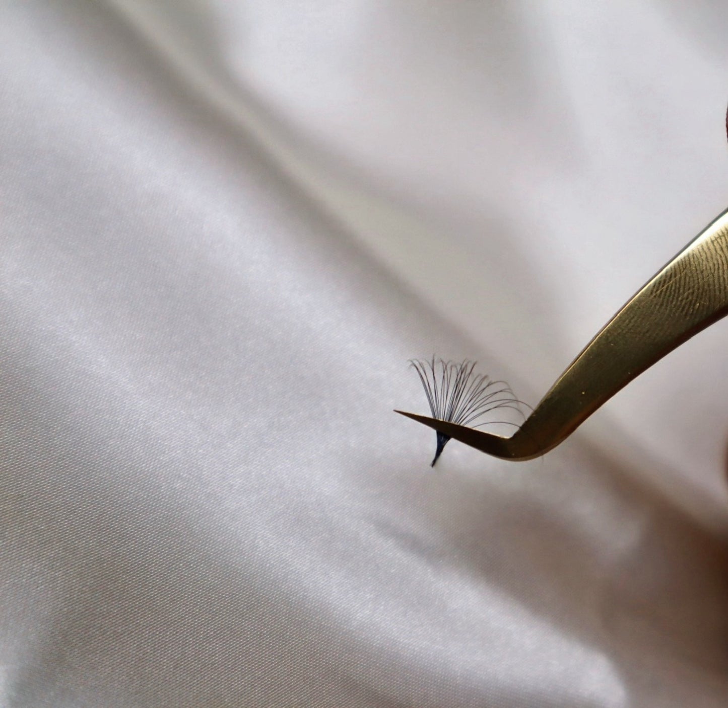 Cashmere Lash Trays Mixed Lengths 9-13