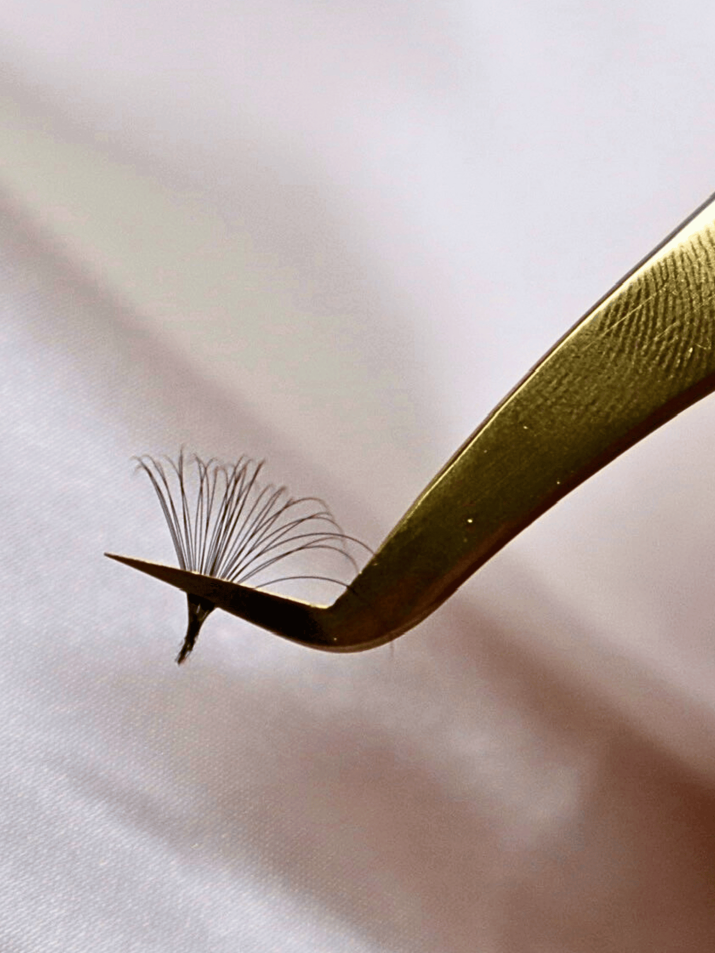 GoldiLOCK Tweezers ⭐️